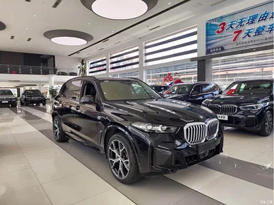 2023 BMW X5 xDrive 30Li Premium M Sport Black Night Package, фото 3, лот 10462812