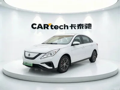 2021 Dongfeng Fengxing S50EV Light Edition, фото 1, лот 11168616