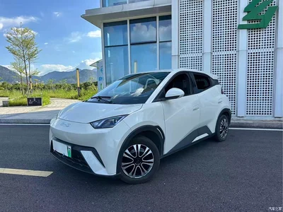 2024 BYD Seagull Glory Edition 305km Vitality Edition, фото 1, лот 10255318