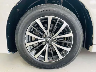 2021 GAC Trumpchi Trumpchi M8 Leading Show Series 390T Premium Edition, фото 3, лот 10415680