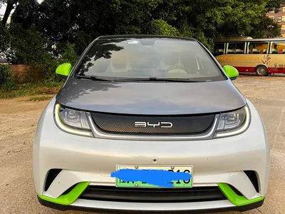 2021 BYD Dolphin Model 405km Fashion Edition, фото 3, лот 10383993