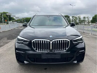 2022 BMW X5 (Import) xDrive30i M Sport Package, фото 2, лот 10670814