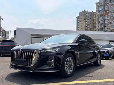 2025 Hongqi H5 1.5T DCT Qiyue 500,000 Units Commemorative Edition, фото 1, лот 10361011