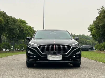 2022 Hongqi H5 Classic 1.5T DCT Flag Rhythm Edition, фото 2, лот 10288826