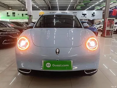 2021 Ora Good Cat 400km Standard Range Venus Edition (LFP), фото 3, лот 10387229