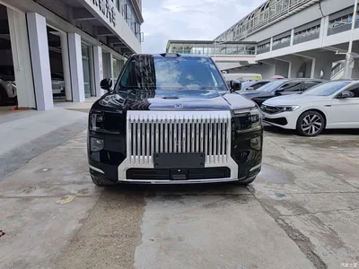 2025 ZEEKR 9X Model Standard, фото 2, лот 10291733