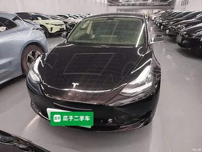 2019 Tesla Model 3 Standard Range Rear-Wheel Drive Upgrade, фото 3, лот 11494456