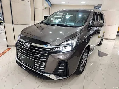 2023 Buick GL8 Land Business Class 652T Luxury, фото 2, лот 10435142