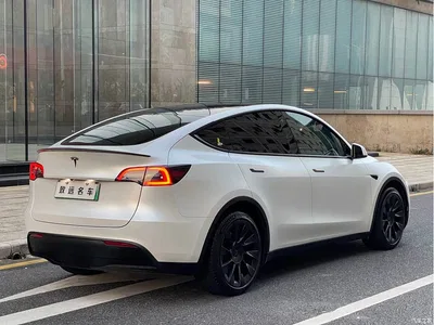 2021 Tesla Model Y Standard Range Rear-Wheel Drive, фото 3, лот 11011667