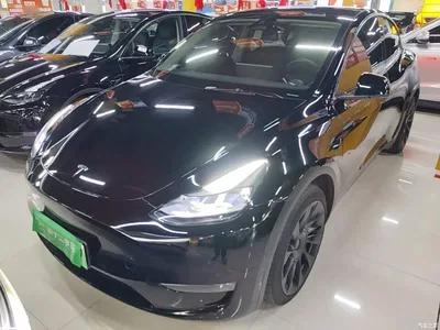 2022 Tesla Model Y Long Range AWD, фото 2, лот 11137280