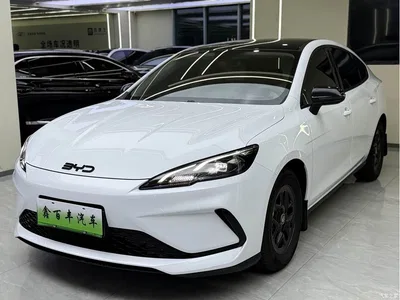 2025 BYD Hai Bao 05 DM-i DM-i Smart Drive Edition 55KM Luxury, фото 1, лот 10274308