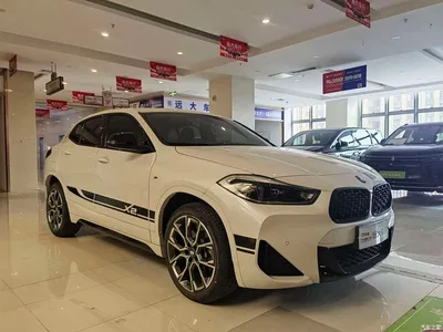 2022 BMW X2 sDrive25i Black Night Edition, фото 3, лот 10679245