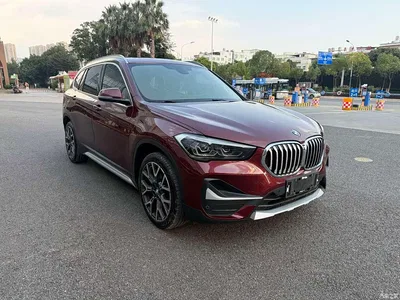 2020 BMW X1 xDrive25Li Premium Edition, фото 3, лот 10396809