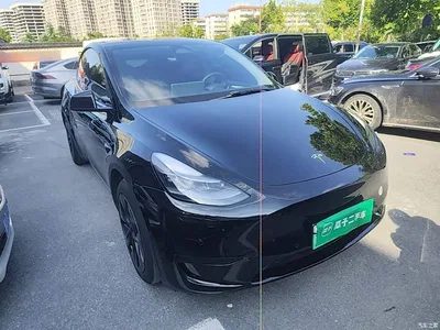 2023 Tesla Model Y Rear-Wheel Drive Edition, фото 4, лот 11215659