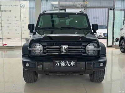 2021 Tank 300 Off-road Version 2.0T Conqueror, фото 2, лот 10384135