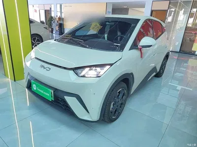 2024 BYD Seagull Glory Edition 405km Soaring Edition, фото 2, лот 10259462