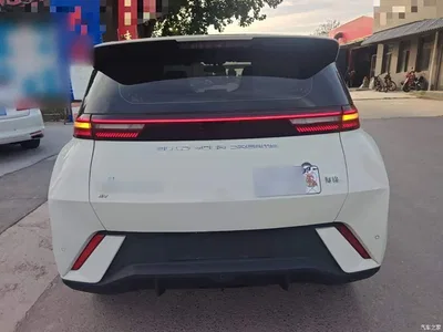 2024 BYD Seagull Glory Edition 405km Soaring Edition, фото 4, лот 10388737