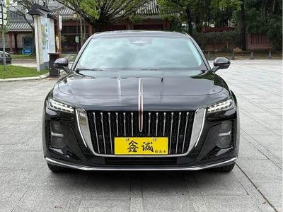 2024 Hongqi H5 2.0T Automatic Smart Connect Flag Smooth Edition, фото 3, лот 10286845