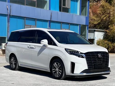 2023 Buick GL8 ES Landmaster Exclusive, фото 3, лот 11569737