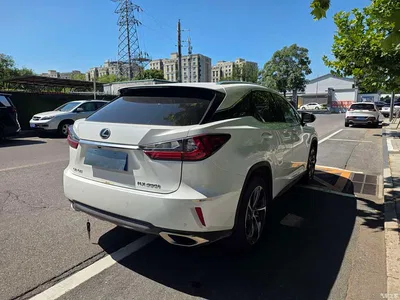 2016 Lexus RX 300 4WD Elegance Edition (China V), фото 4, лот 10311741