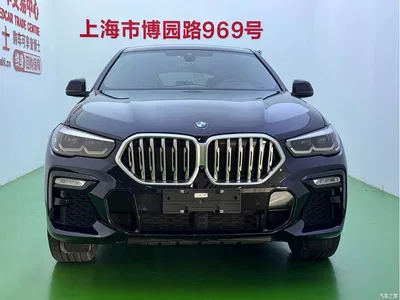 2021 BMW X6 xDrive30i M Sport Package, фото 2, лот 10469161