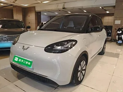 2023 Wuling Motors Wuling Bingo 333km Smart Connectivity Edition, фото 1, лот 10442388