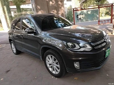 2016 Volkswagen Tiguan 280TSI Automatic 2WD Silk Road Fashion Edition, фото 4, лот 10478444