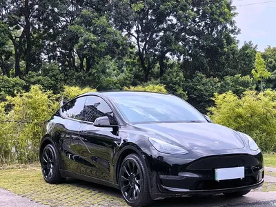 2021 Tesla Model Y Standard Range Rear-Wheel Drive, фото 2, лот 11137869
