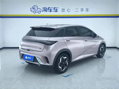 2021 BYD Dolphin Model 405km Fashion Edition, фото 3, лот 10246769