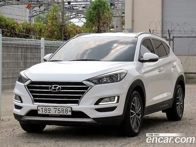 2019 Hyundai Tucson Gasoline 1.6 turbo 2WD, фото 1, лот 11141953