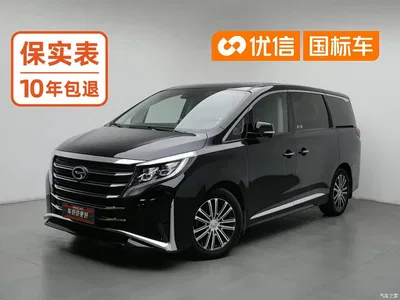 2021 GAC Trumpchi Trumpchi M8 Leading Show Series 390T Ultimate Edition, фото 1, лот 11249303