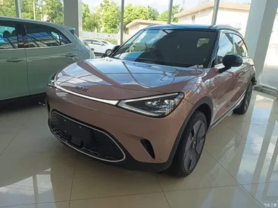 2022 smart Elf #1 Premium Edition, фото 1, лот 10343726