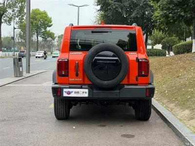 2024 Tank 300 Model 2.0T Challenger, фото 4, лот 10344718