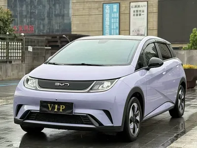 2024 BYD Dolphin Glory Edition 420km Fashion Edition, фото 1, лот 10254934