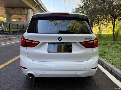 2019 BMW 2 Series Gran Tourer 220i Leading, фото 2, лот 10475005