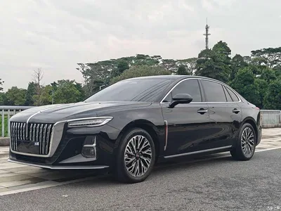2024 Hongqi H5 2.0T Automatic Smart Connect Flag Smooth Edition, фото 1, лот 10286406