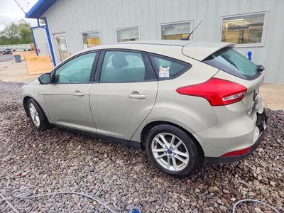 2016 FORD FOCUS SE, фото 2, лот 11129360