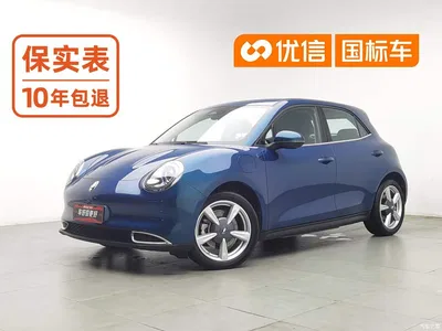 2023 Ora Good Cat 401km Standard Range Luxury LFP, фото 1, лот 10331562