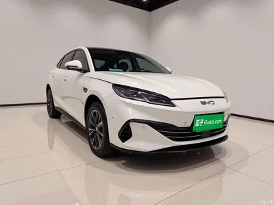 2025 BYD Seal 06 New Energy DM-i Smart Drive 80KM Luxury, фото 3, лот 11361680