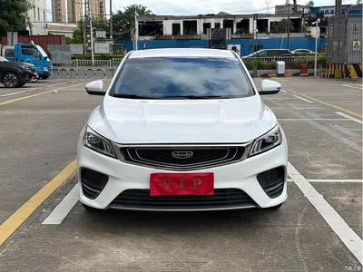 2020 Geely Binrui Facelift 1.4T CVT Asian Games Edition, фото 2, лот 10295458