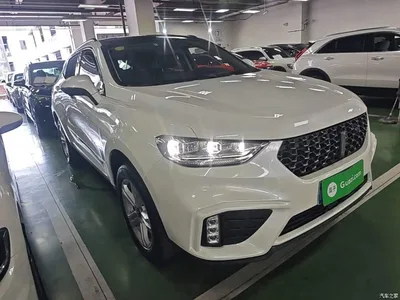 2020 WEY VV5 1.5T 2WD Style Pioneer, фото 4, лот 10452292