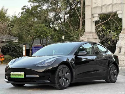 2021 Tesla Model 3 Facelift Standard Range RWD Upgrade 3D1, фото 1, лот 10696572