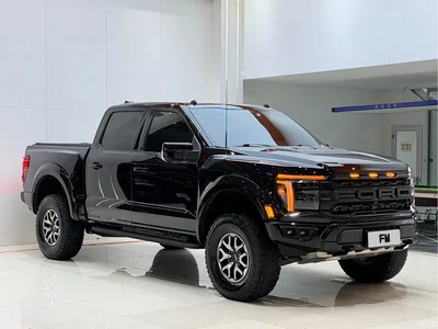2023 Ford F-150 Raptor 3.5T Raptor, фото 2, лот 10294535