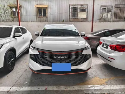 2022 Haval Shenshou 2.0T Smart Enjoyment Edition, фото 2, лот 10301641