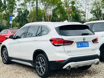2020 BMW X1 sDrive20Li Premium Edition, фото 4, лот 11385723