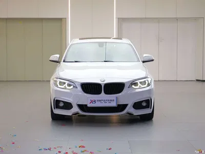 2019 BMW 2 Series (Import) 225i Exclusive M Sport Package, фото 2, лот 10399615