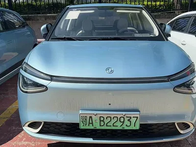 2024 Dongfeng Yipai Nano 01 330 Air, фото 1, лот 10835142