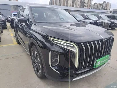 2024 Hongqi HS7 PHEV 2.0T PHEV 4WD Flagship Edition 6-seater, фото 4, лот 10289478