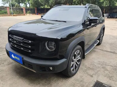 2022 Haval Big Dog 1.5T DCT FWD Border Collie Edition, фото 1, лот 10507561