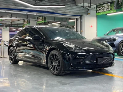 2022 Tesla Model 3 Model Rear-Wheel Drive Version, фото 3, лот 10366558